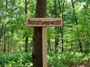 Hinweisschild Bestattungswald (NATURRUHE Friedewald GmbH) im Wald