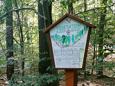 Fünfeckige Lehrtafel "Vegetation im Spitzgrund" im Wald